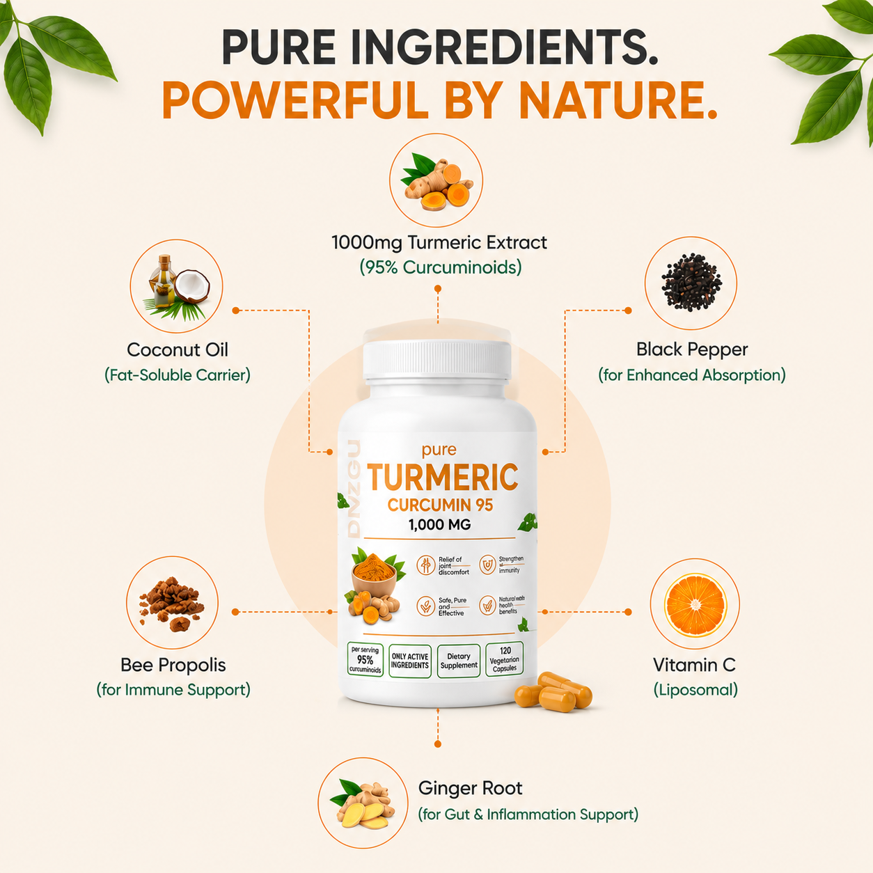 Curcumin Capsules